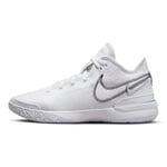 Zoom LeBron NXXT GEN UK 4.5 EUR 37.5 White Metallic Sliver Black DR8784 101