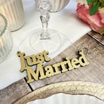 Wooden Hanging Just Married Sign | Wedding Decoration Festive Gift Plaque Custom