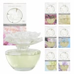 Baltus Flower Fragrance Scented Oil Diffuser White Petals Glass Vase Home 100ml