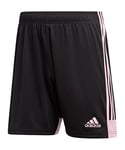 adidas Men's TASTIGO19 SHO Sport Shorts, Black/True Pink, XL/L