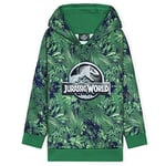 Jurassic World Sweat à Capuche Dinosaure Enfant Garçon (Vert, 9-10 ans)