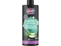 Ronney Ronney_Aloe Ceramides Professional Shampoo Nourishing Therapy For Dull&Amp Dry Hair Schampo 1000Ml