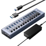 ORICO 13 Ports Usb Hub en Aluminium Alimenté, Concentrateur de Données USB3.0 60 W avec Charge BC1.2 (12 V / 5 A), Tous les Ports avec Commutateur Indépendant pour PC, iMac, Disque dur Mobile, Clé USB