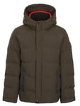 Trespass Habbton Padded Jacket Boys vinterjacka Grön 5/6 år - Fri frakt