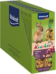 Vitakraft Kräcker - Friandise pour Lapin Nain aux raisins et noix - 10x2