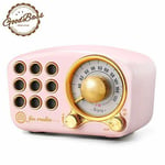 Greadio Pink Retro Vintage FM Radio, Bluetooth Speaker, Classic Style