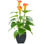 Galaxy Konstgjord Blomma Röd Orange Calla Lilja Svart Kruka Falsk Bonsai Liten Konstgjord Bonsai Lämplig för Heminredning Orange