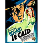 Wee Blue Coo MOVIE FILM BIG SHOT FRENCH RELEASE BOGART MANNING USA ART POSTER PRINT 18x24 INCH LV2173