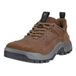 ECCO Homme Offroad Shoes, Cocoa Brown/Cocoa Brown, 43 EU