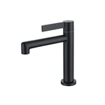 Robinet Eau Froide Unique Robinet de Lave-mains Noir Pour Salle Bain Petit Robinet Wc Invités Mitigeur Lavabo Mousseur Démontable - Detbom