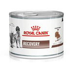 Våt mat Royal Canin Recovery Fåglar Gris 195 g