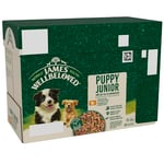 James Wellbeloved Grain Free Puppy Dog Food with Turkey in Gravy Pouch 12 x 90 g