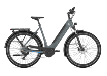 Gazelle Ultimate T10 HMB 625Wh 49