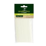 Tildenet Étiquettes pour plantes en plastique Blanc 150 mm