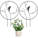 Lot de 2 Treillis de Jardin - Support pour Plantes Grimpantes en Métal, 30cm 40.5cm, Tuteur pour Plantes Grimpantes, Support de Plante d'Intérieur