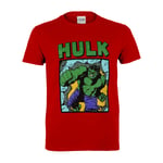 Marvel Comics Hulk Smash Boys T-shirt | Official Merchandise