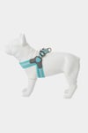 Easy Walk Step In Pet Dog Harness