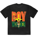 DC Comics Unisex T-Shirt: Batman Robin Boy Wonder (Small)