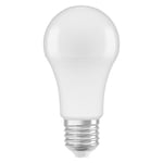 LED lampa normal 2700K 1521lm E27 13W