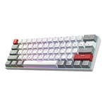 Newmen GM610Pro Clavier Mecanique 60%,Clavier Gamer sans Fil 2.4Ghz/Bluetooth/USB RGB Rétroéclairé,Blanc et Gris,Clavier Gaming Mécanique Remplaçable à Chaud pour Windows/Mac/Android(Gateron Rouge)