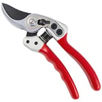 Darlac Expert Bypass Small Pruner – Razor Sharp Blades - Garden Secateurs Ideal for Small Hands – Secateurs for Fine Pruning - SK5 High Carbon Steel Blade, DP1033