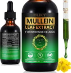 Mullein Drops for Lungs 60ML Mullein Leaf Extract & Chlorophyll Drops for Lung C