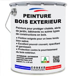 Peinture Bois Exterieur - Pot 5 L   - Codeve Bois - 7021 - Gris noir