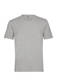 Bamboo Tee Tops T-shirts Short-sleeved Grey Frank Dandy