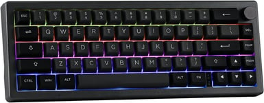 EK68 Clavier Mécanique SansFil/Bluetooth/USB-C. Clavier 65% avec Batterie 3000mAh, Bouton de Volume, RGB, HotSwap, pour Gaming/Bureau/PC/Mac/Linux ((US) Argent Noir, Budgerigar Switch)