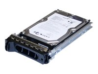 Origin Storage - Hårddisk - 500 Gb - Hot-Swap - 3,5" - Sata 1.5Gb/S - 7200 Rpm - För Dell Poweredge 1950, 1950 Iii, 2900, 2900 Iii, 2950, 2950 Iii (3,5"), R300, T300, T605