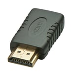 Mini HDMI to HDMI Adapter. Black