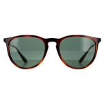 Ray-Ban Sunglasses Erika 4171 710/71 Tortoise & Gunmetal Green