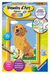 Ravensburger – Numéro d’Art mini format – Joli petit chiot – Loisir créatif – Kit de peinture par numéros – Activité détente et créative – Dès 7 ans – 28684 – Version française