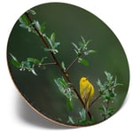 Round Single Coaster  - Little Yellow Bird Tree Rain Nature  #45583