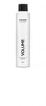 Vision Volume spray 300ml