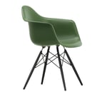 Vitra - Eames Plastic Armchair DAW - 48 Forest - Black Maple - Matstolar - Charles & Ray Eames - Grön - Metall/Trä/Plast