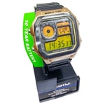 Black Gold Casio Illuminator Royale ⌚ Sunset Screen AE-1200WH Resin Strap Watch