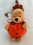 Pumpkin Pooh 8’’ Beanie Winnie The Pooh Plush Teddy Disney Stores