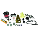 Mercury 9,9-20hk Efi Service Kit 300timer