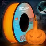 Filament PLA 1,75 mm Glow In The Dark Effet lumineux pour imprimante 3D Emballage sous vide - Bobine de 1 kg (lumières oranges)