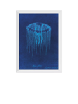 EAST END PRINTS Natural History Museum 'Jellyfish' Framed Print