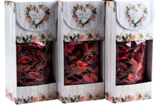 Christmas Pot Pourri In Gift boxes - Spiced Apple Fragrance - Set of 3