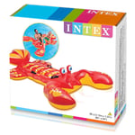 Intex Rideon Locust Madrass