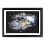 Big Box Art Golden Eagle Vol.4 Paint Splash Framed Wall Art Picture Print Ready to Hang, Black A2 (62 x 45 cm)