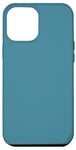 Coque pour iPhone 12 Pro Max Bleu mer