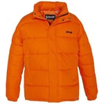 Blouson Schott  Doudoune    NEBRASKA W  Orange