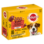 Pedigree Adult Pouch Multipack - Ekonomipack: 4 sorter i gelé 96 x 100 g