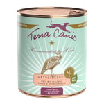 Terra Canis Grain Free 6 x 800 g - Kalkon med pumpa, selleri & vattenkrasse