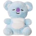 BT21 KOYA Palm Pal 5In