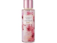 Victoria's Secret Velvet Petals Cashmere Bodyspray 250 Ml (Woman)